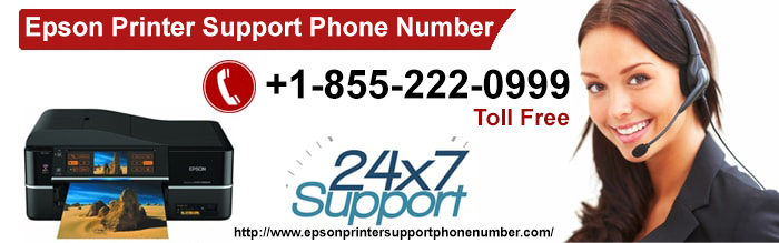 Online Support for Epson Printer Configuration Errors